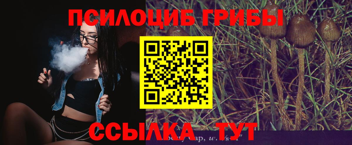 Галлюциногенные грибы GOLDEN TEACHER  Вход с VPN  Галлюциногенные грибы Magic Shrooms  Абинск 