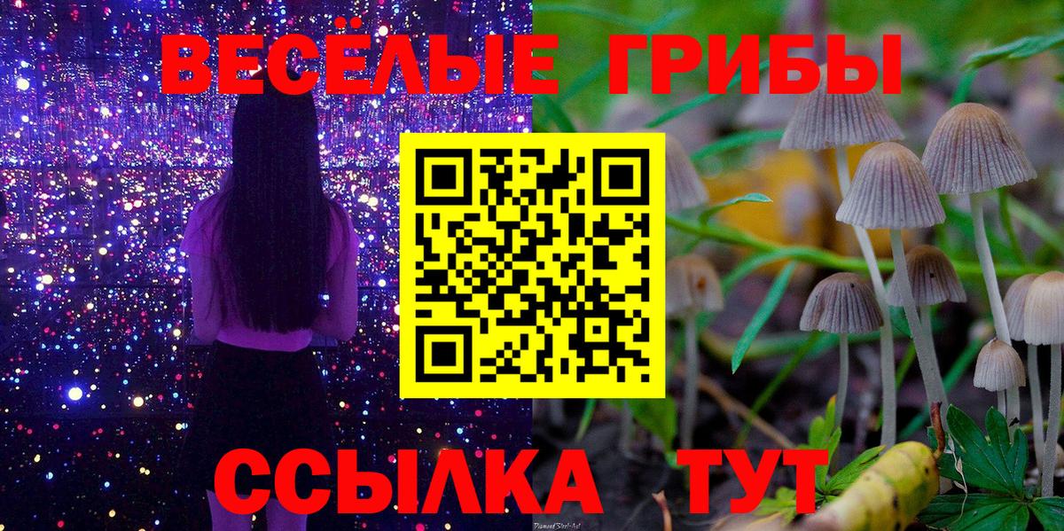 Галлюциногенные грибы GOLDEN TEACHER Абинск